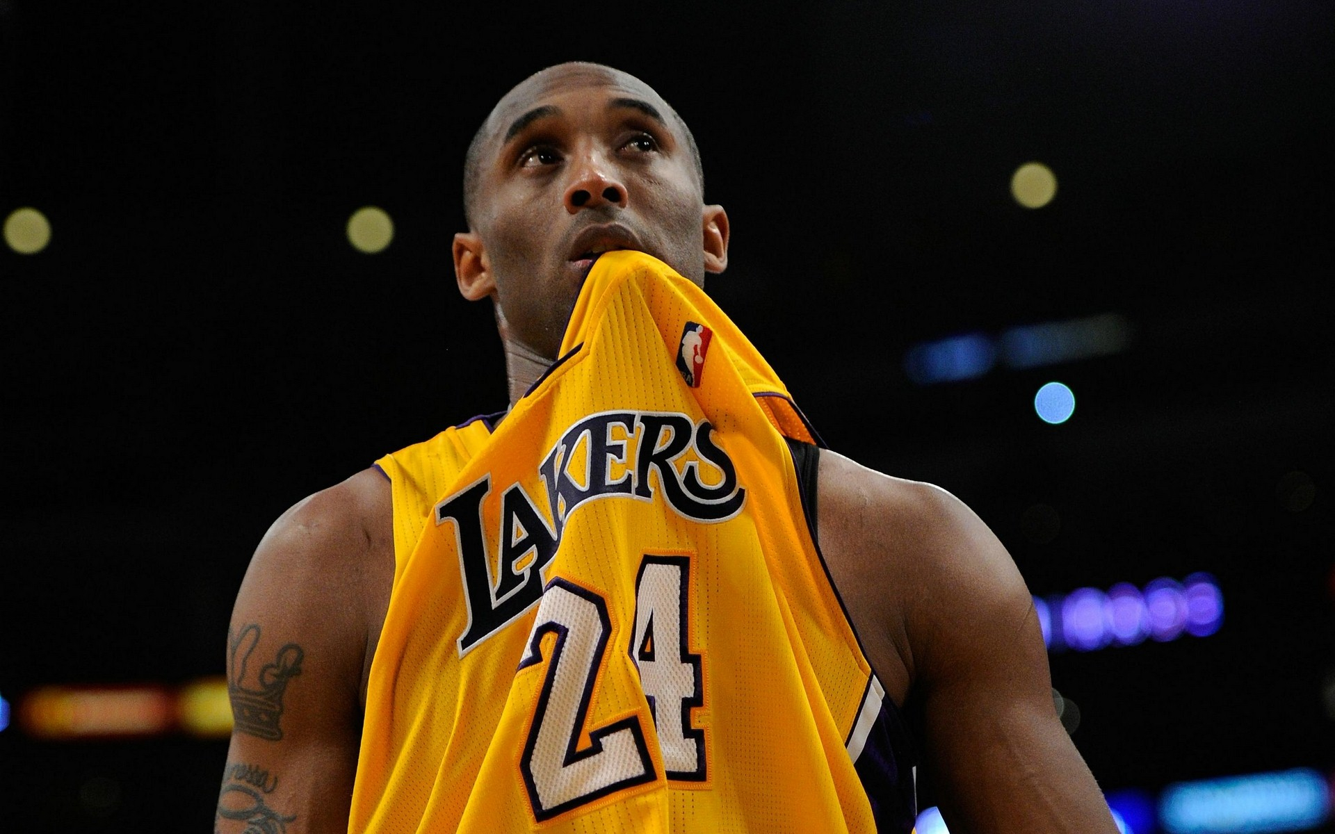 的共同语义 的共同语义